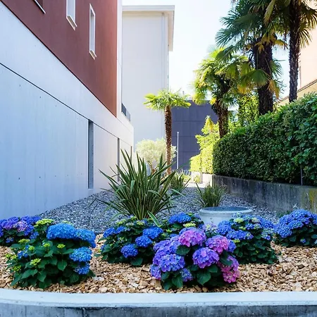 By Quokka 360 - In The Centre Of Apartment